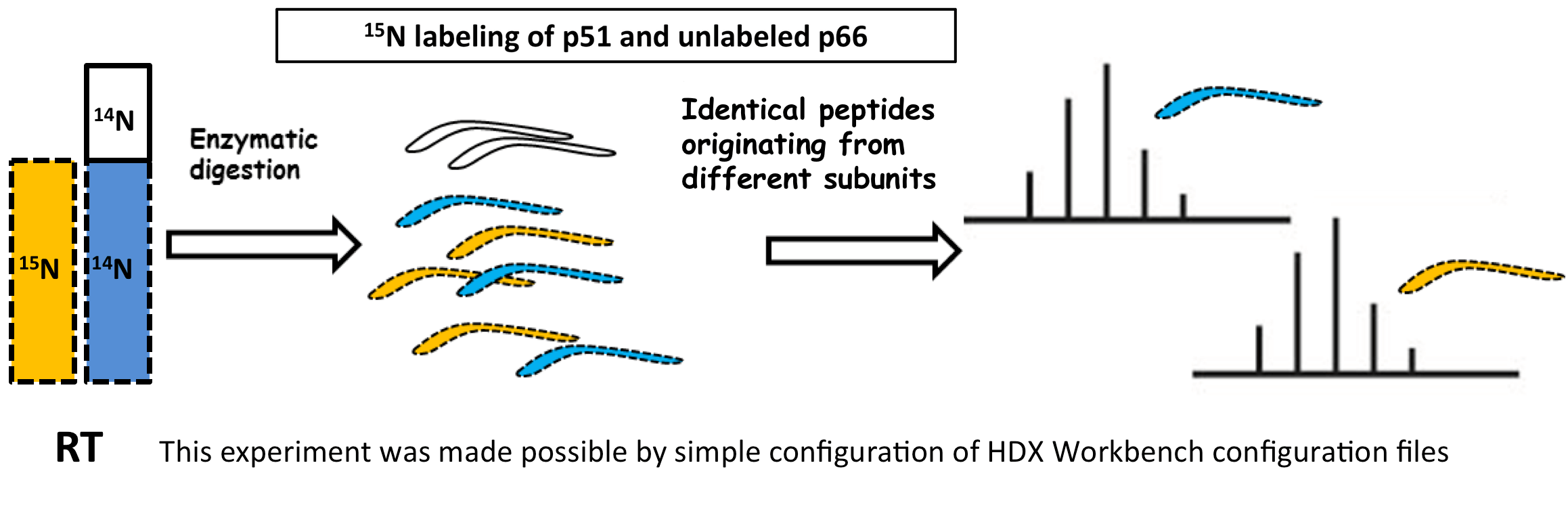 Calculate Deuteration Levels For Peptides